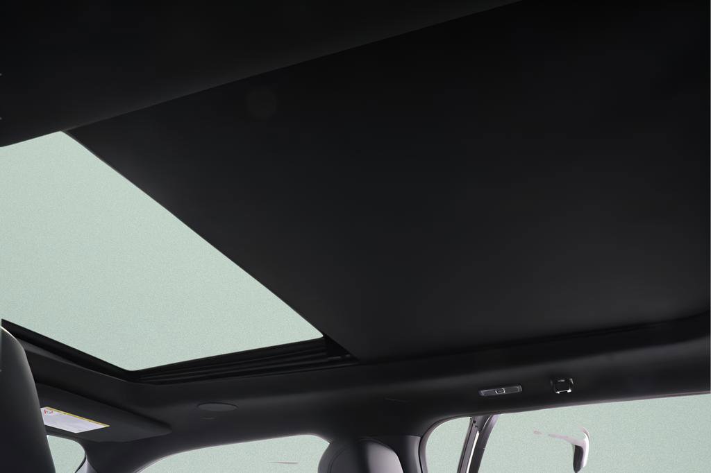 Used 2025 Ford F250 Platinum image 10