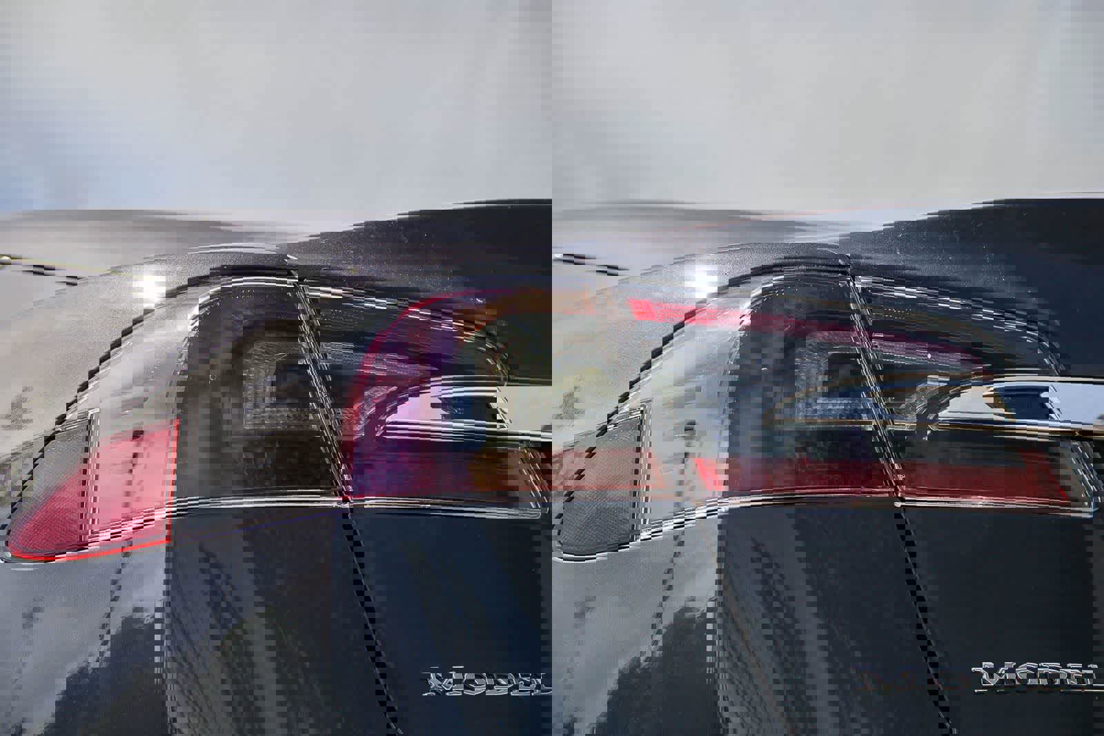 Used 2019 Tesla Model S 100D image 7