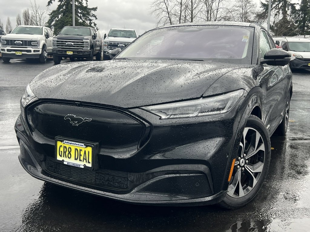 Used 2021 Ford Mustang Mach-E Premium image 1