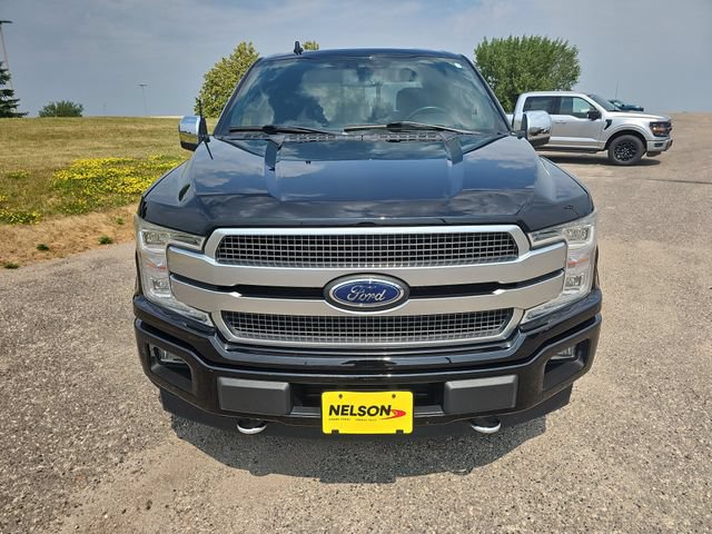 Used 2019 Ford F150 Platinum AWD/4WD image 8