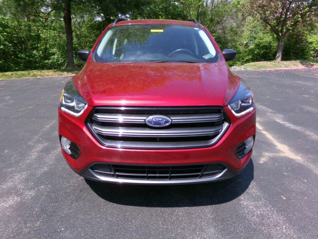 Used 2019 Ford Escape SEL AWD/4WD image 3