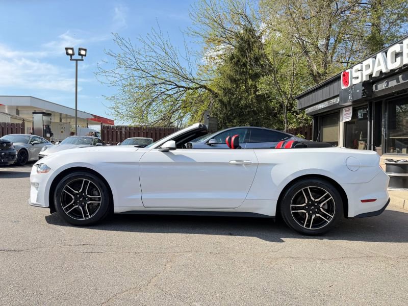 Used 2019 Ford Mustang Premium w/ Equipment Group 201A RWD image 9