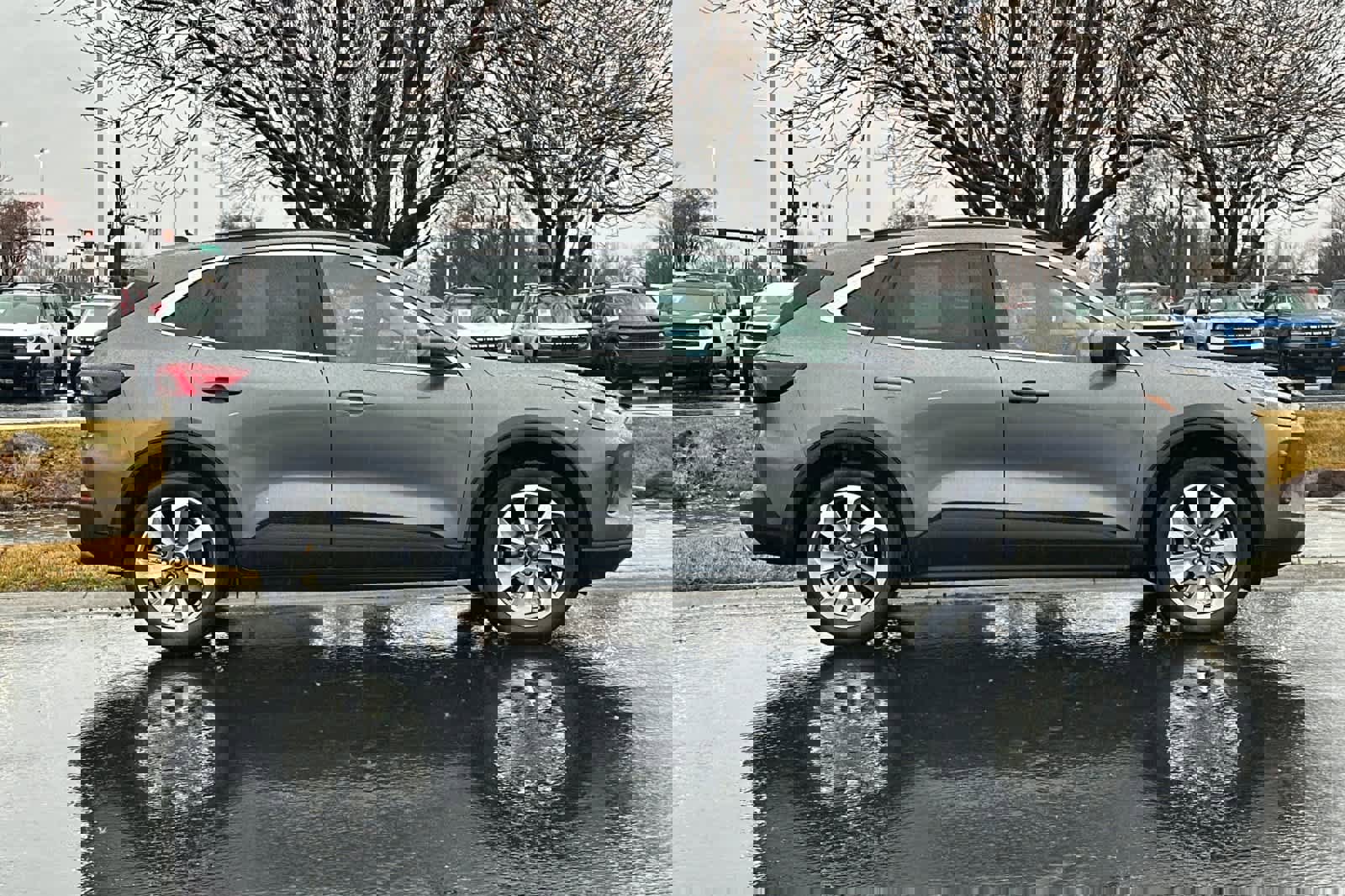 Certified 2025 Ford Escape Platinum image 8