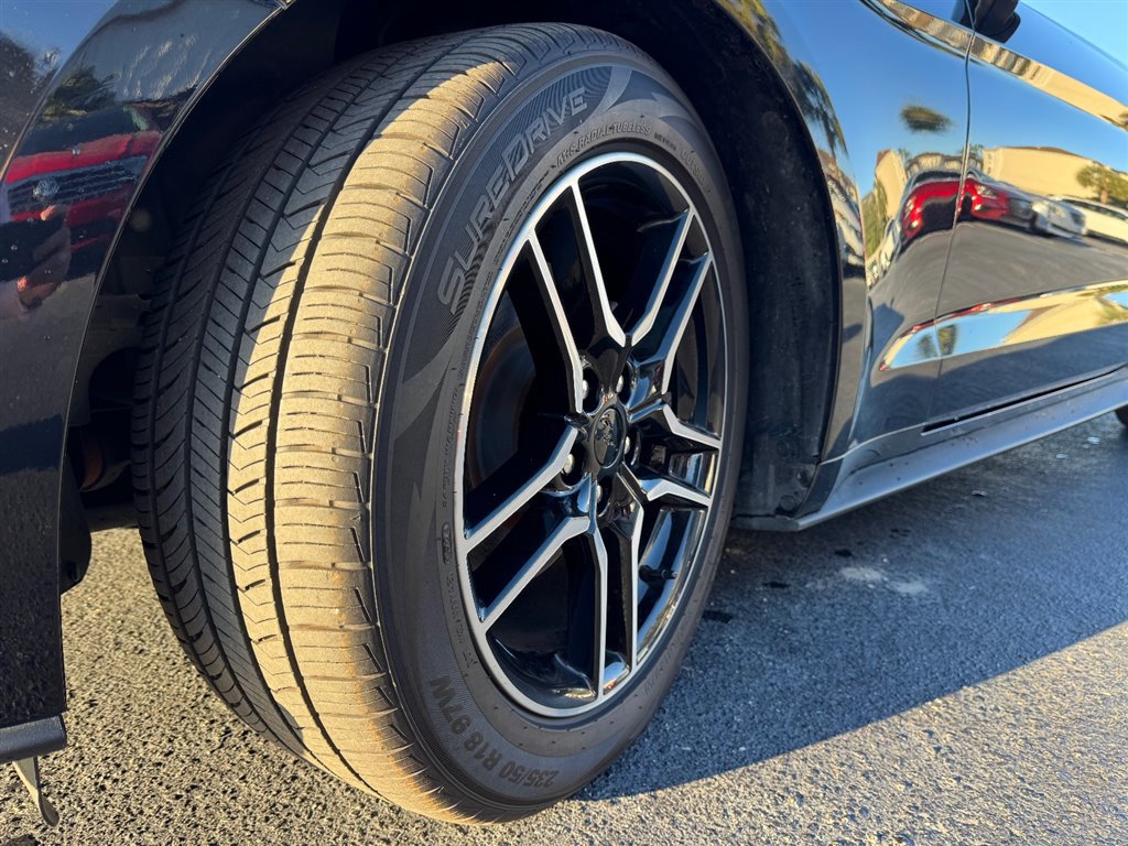 Used 2023 Ford Mustang Premium image 13