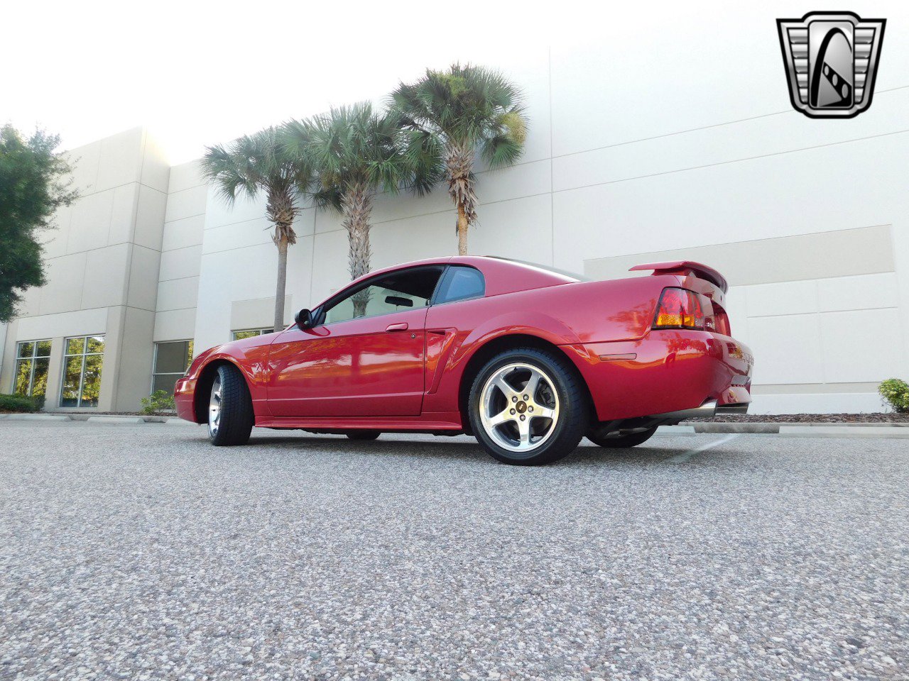 Used 2001 Ford Mustang Cobra image 9