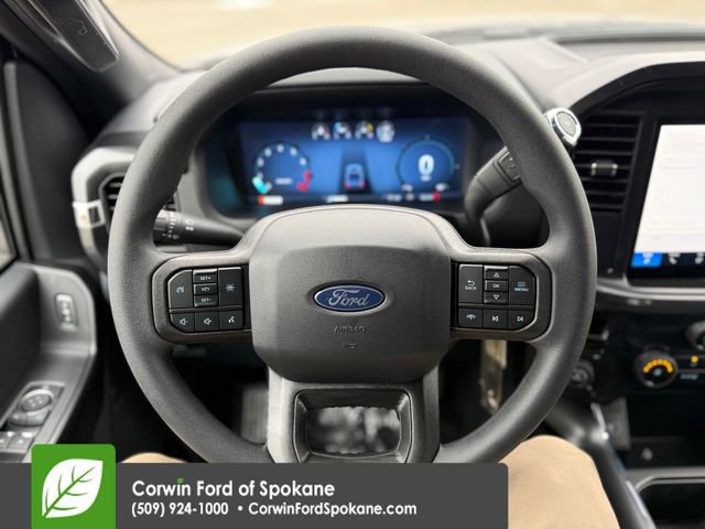 New 2025 Ford F150 STX w/ LOBO Package image 19