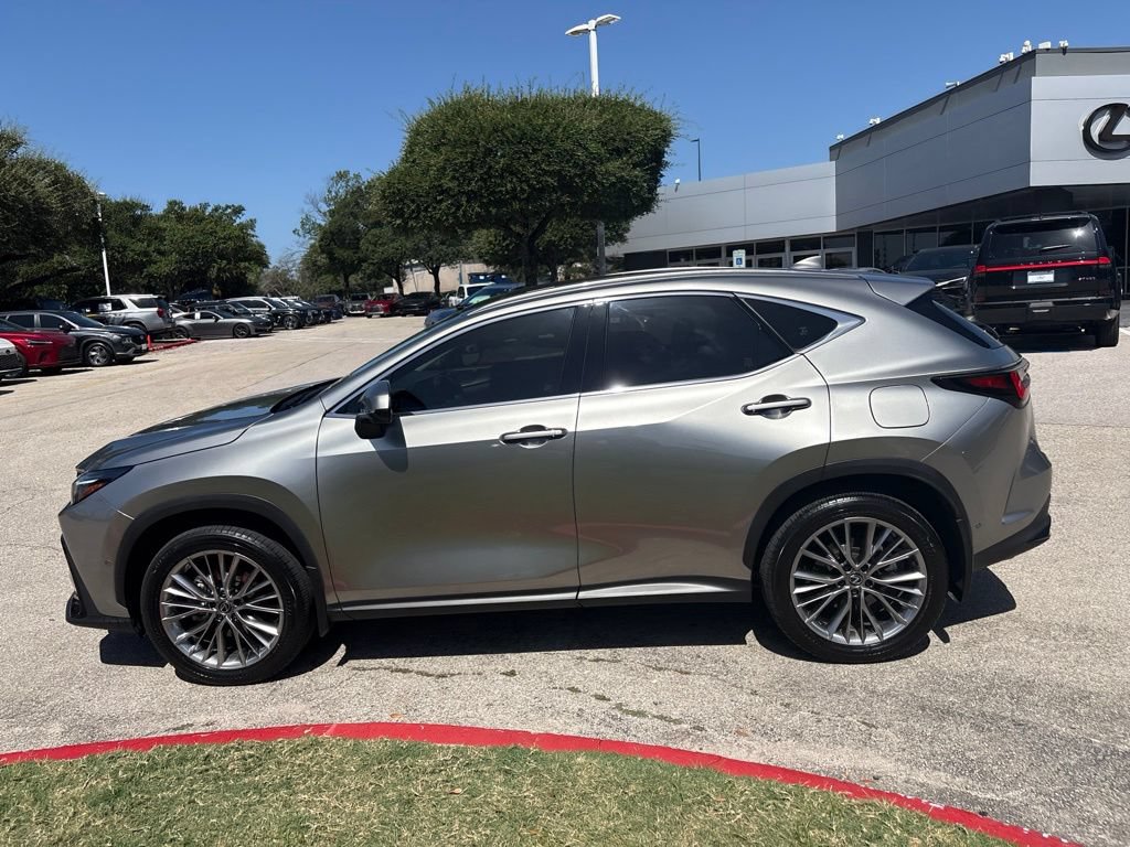 Certified 2025 Lexus NX 350h AWD w/ Cold Area Package image 2