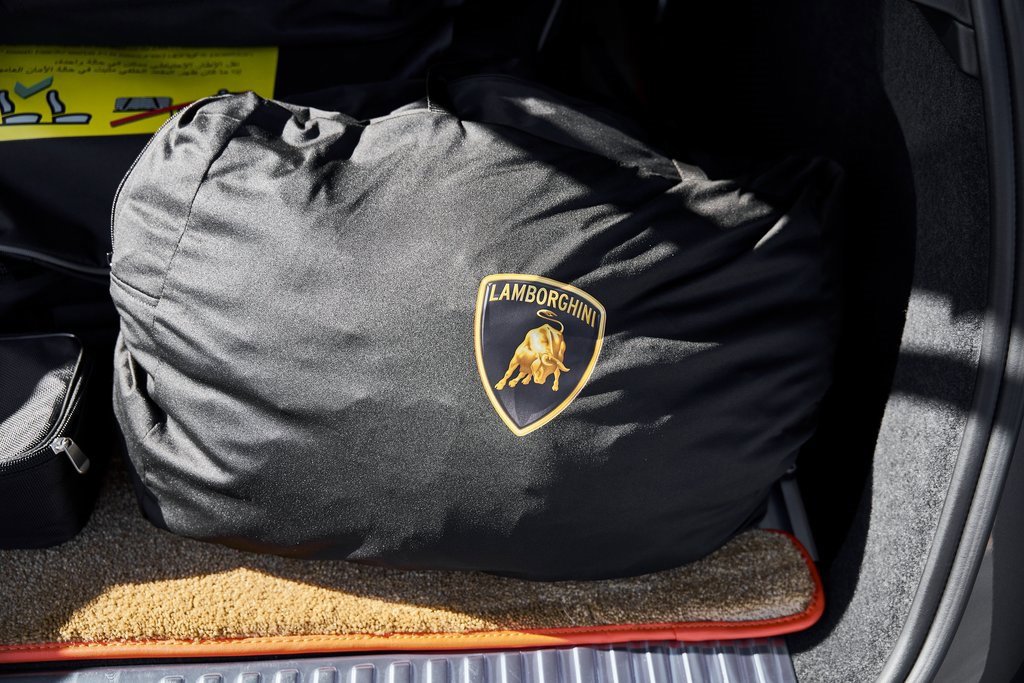 Used 2025 Lamborghini Urus SE image 19