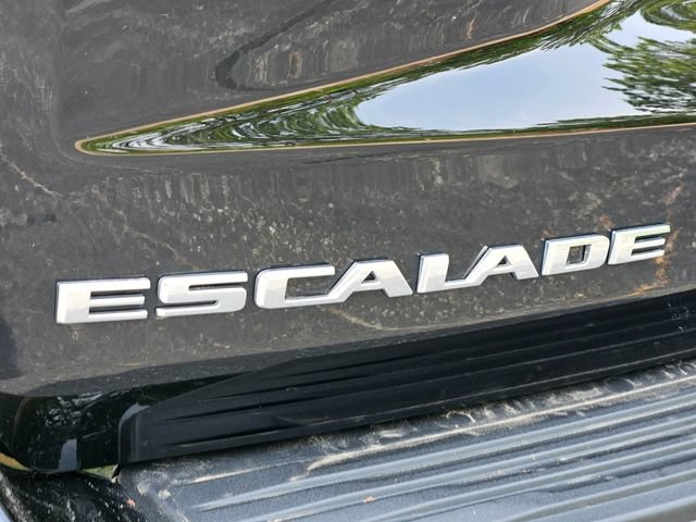 Used 2023 Cadillac Escalade Premium Luxury Platinum AWD/4WD image 16
