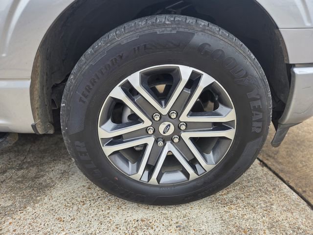 Used 2023 Ford F150 XL w/ STX Appearance Package image 13