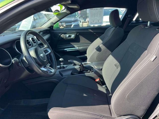 Used 2022 Ford Mustang EcoBoost w/ Equipment Group 101A image 13