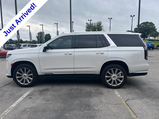 Used 2021 Cadillac Escalade Premium Luxury Platinum RWD image 6