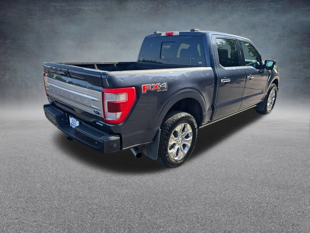 Used 2021 Ford F150 Platinum w/ Equipment Group 701A High AWD/4WD image 9