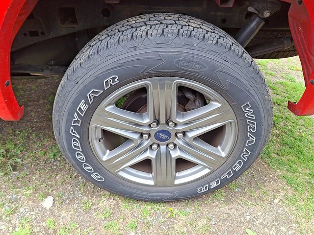 Used 2019 Ford F150 XLT w/ Equipment Group 302A Luxury AWD/4WD image 5