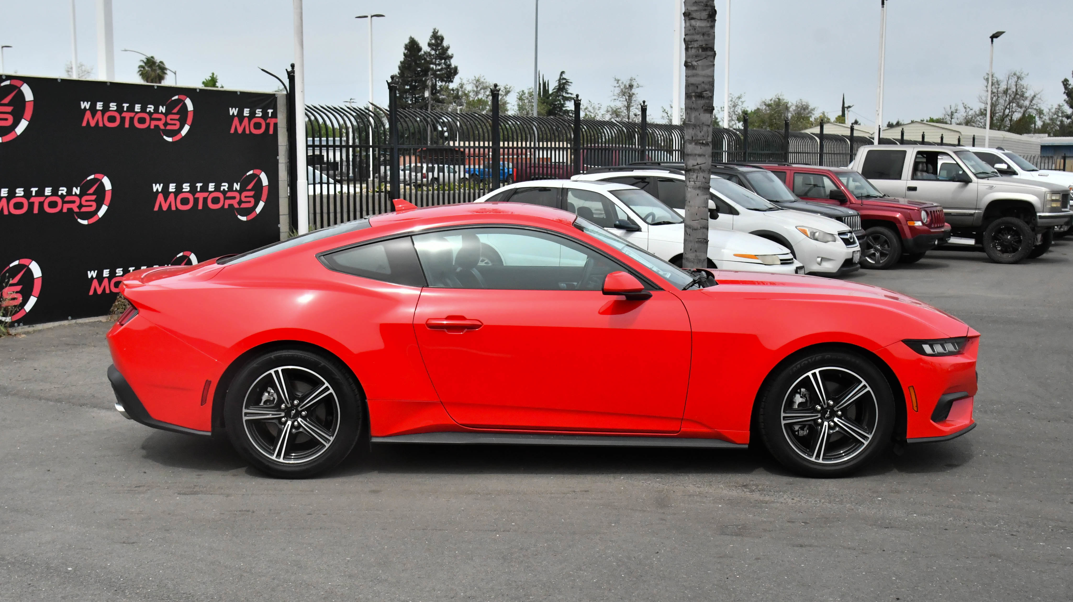 Used 2024 Ford Mustang Premium RWD image 9