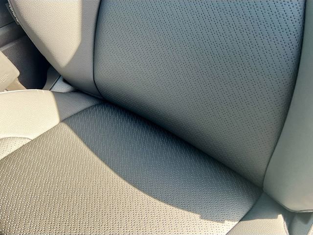 New 2026 Kia Carnival SX Prestige image 20