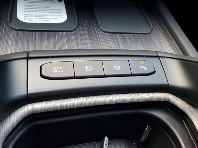 Used 2027 Kia Telluride SX Prestige X-Line image 29