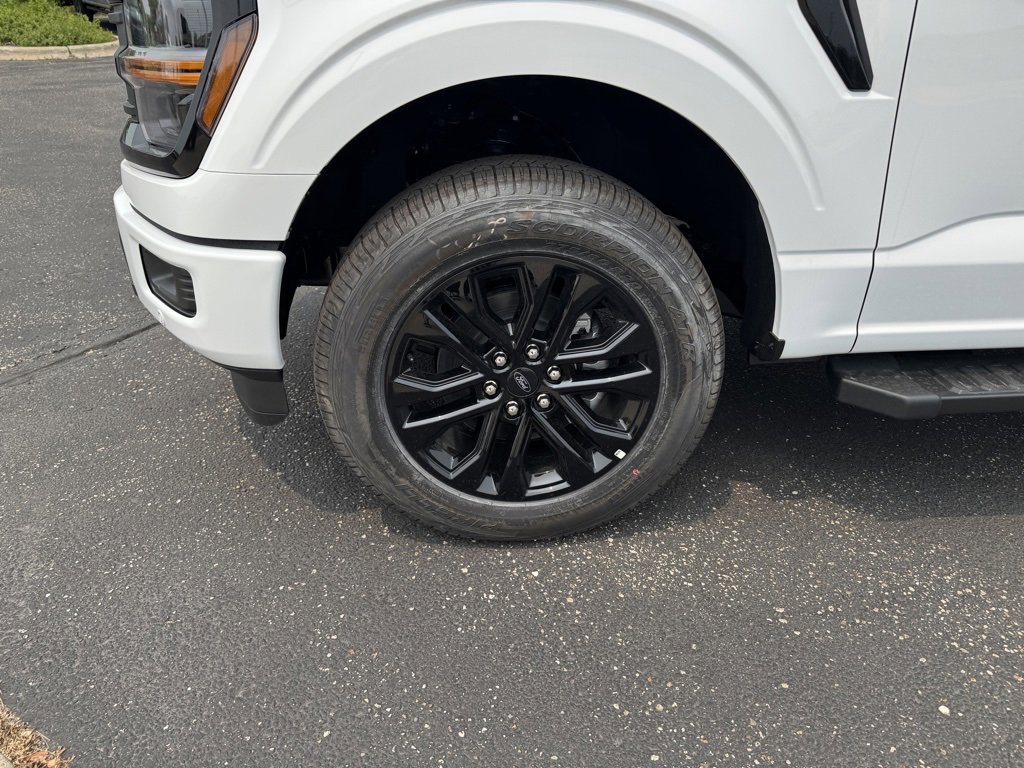 New 2025 Ford F150 XLT w/ Equipment Group 303A High image 13