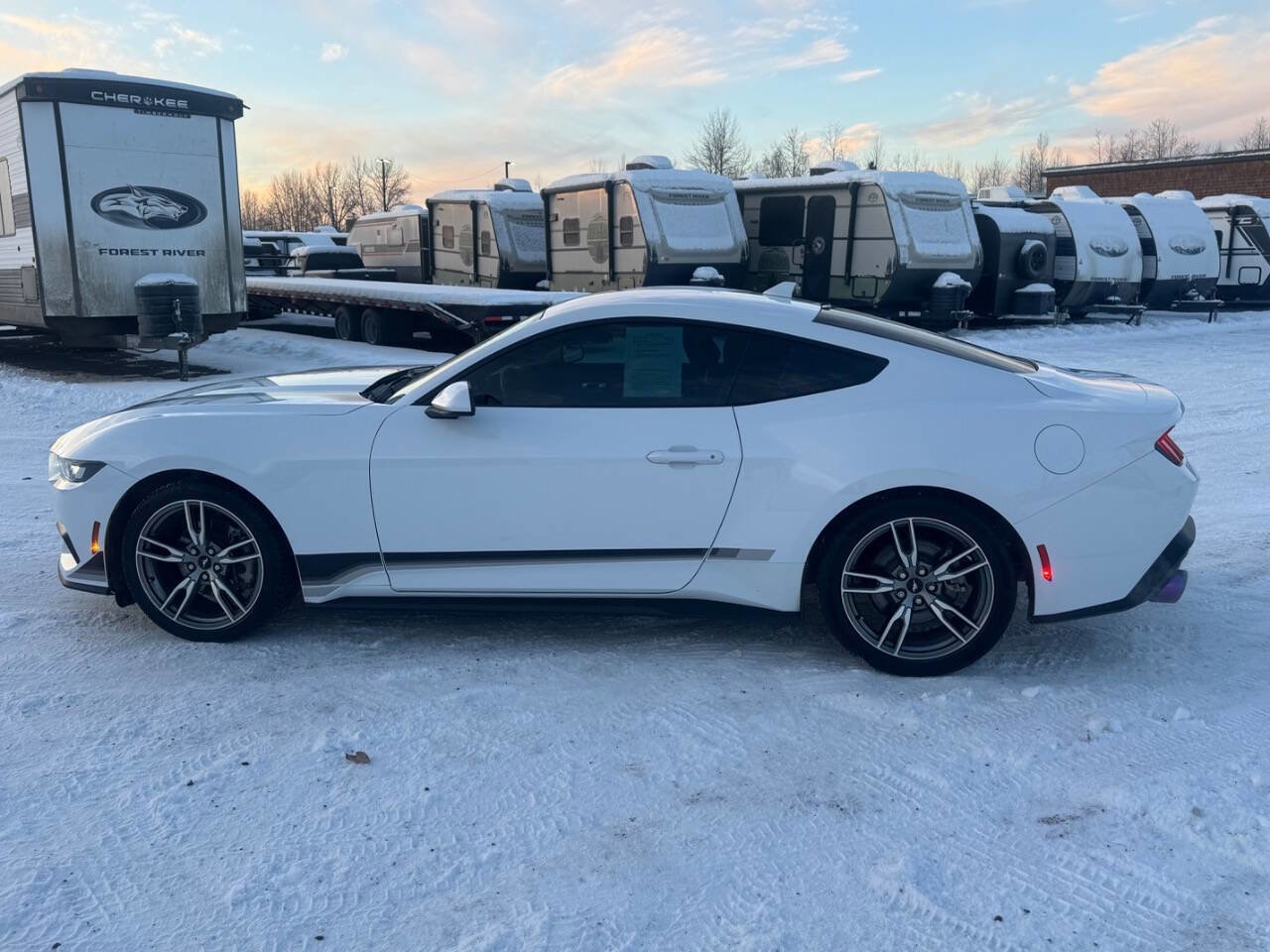 Used 2024 Ford Mustang Coupe image 6