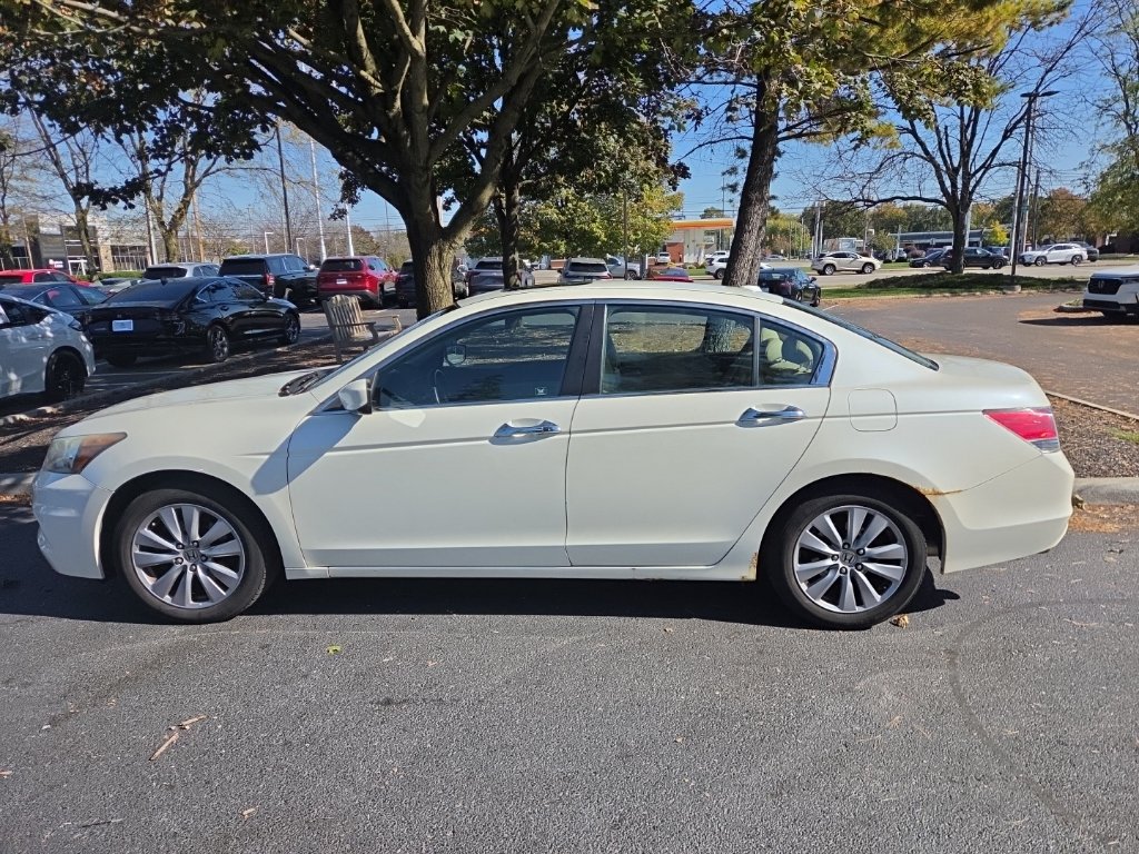 Used 2011 Honda Accord EX-L image 3
