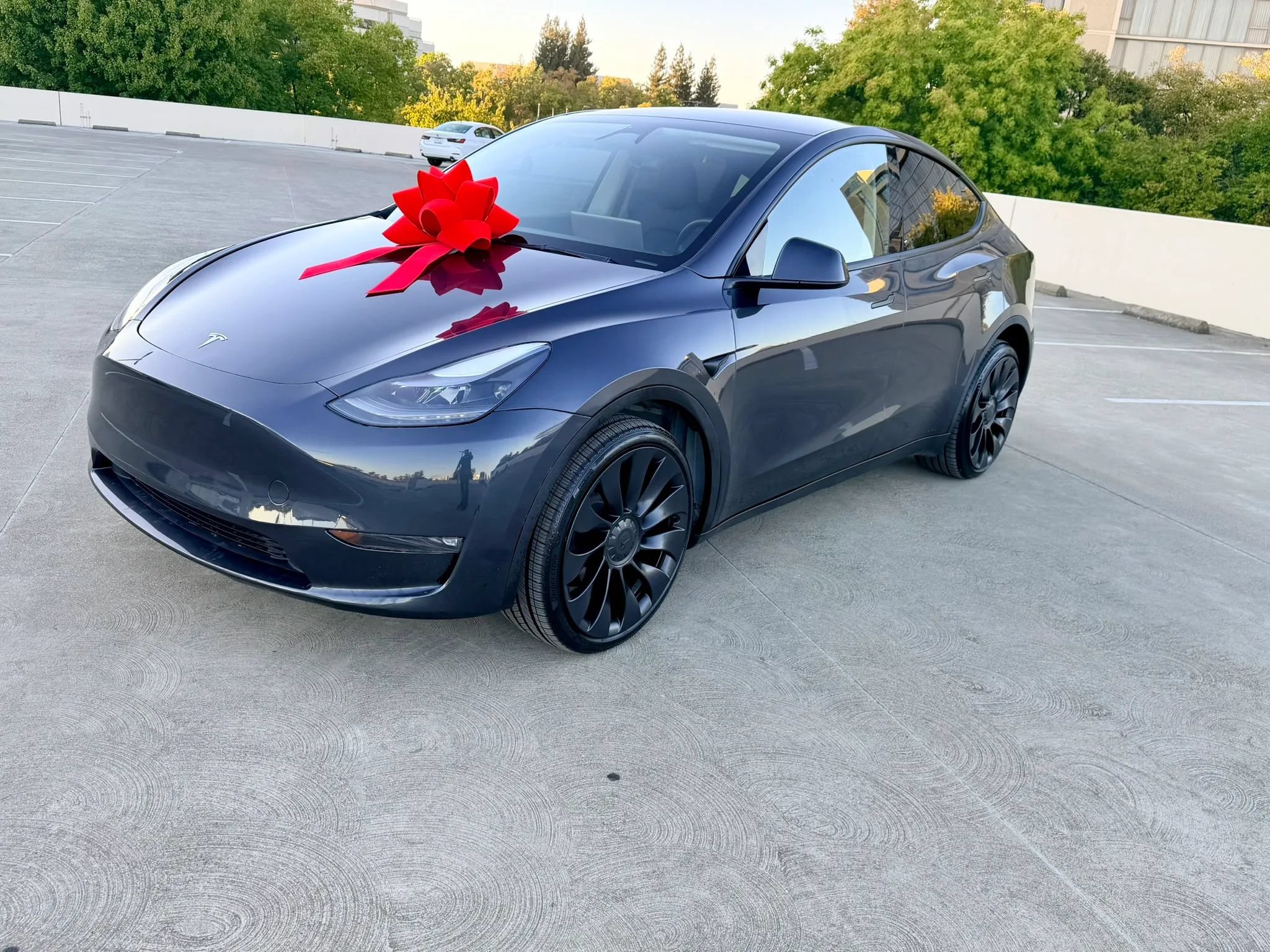 Used 2025 Tesla Model Y Long Range AWD/4WD image 5