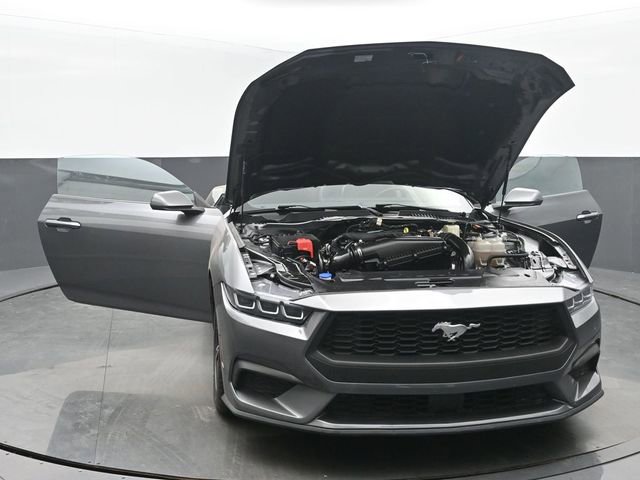 Used 2024 Ford Mustang Premium RWD image 48