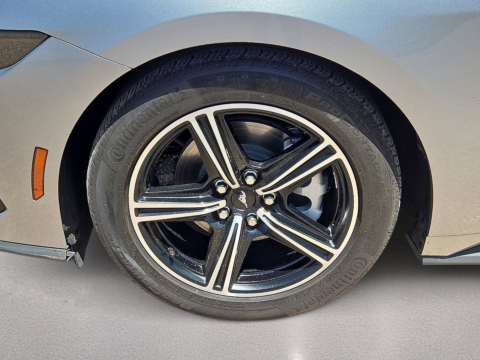 Used 2024 Ford Mustang Coupe RWD image 10