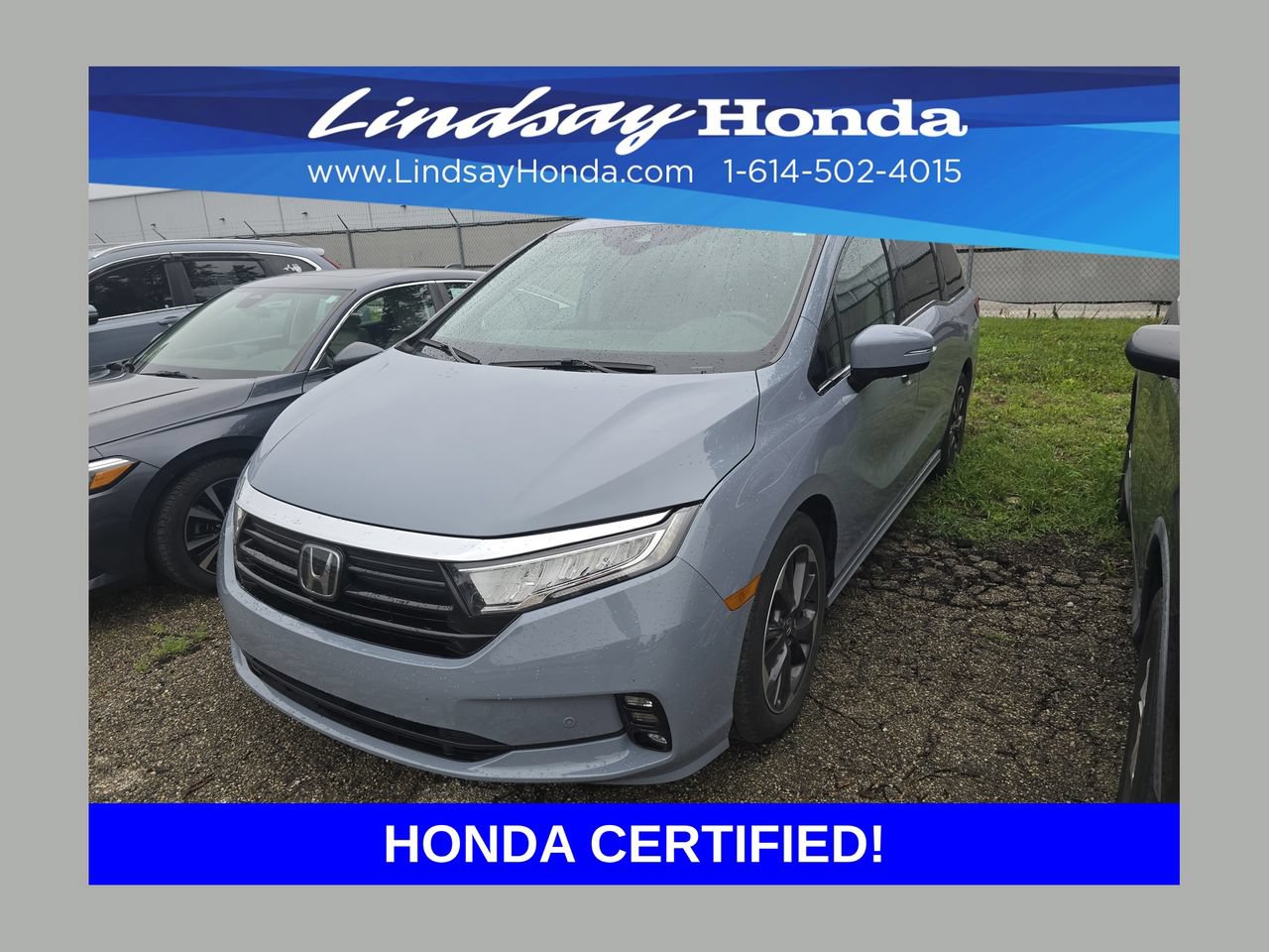Certified 2024 Honda Odyssey Elite image 1