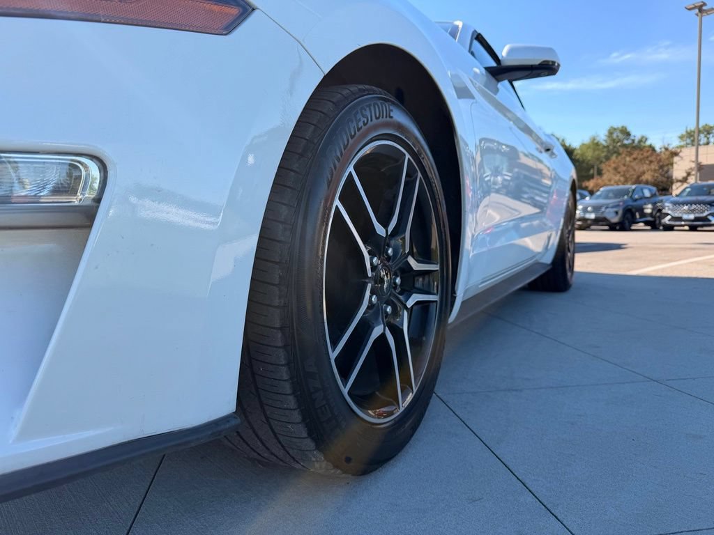 Used 2019 Ford Mustang Premium RWD image 14