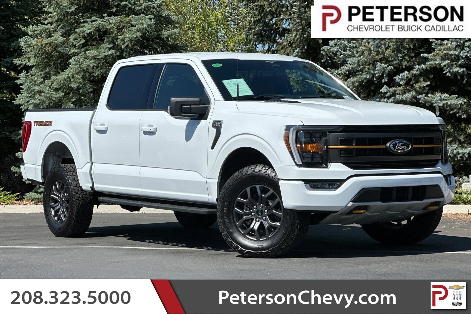 Used 2023 Ford F150 Tremor
