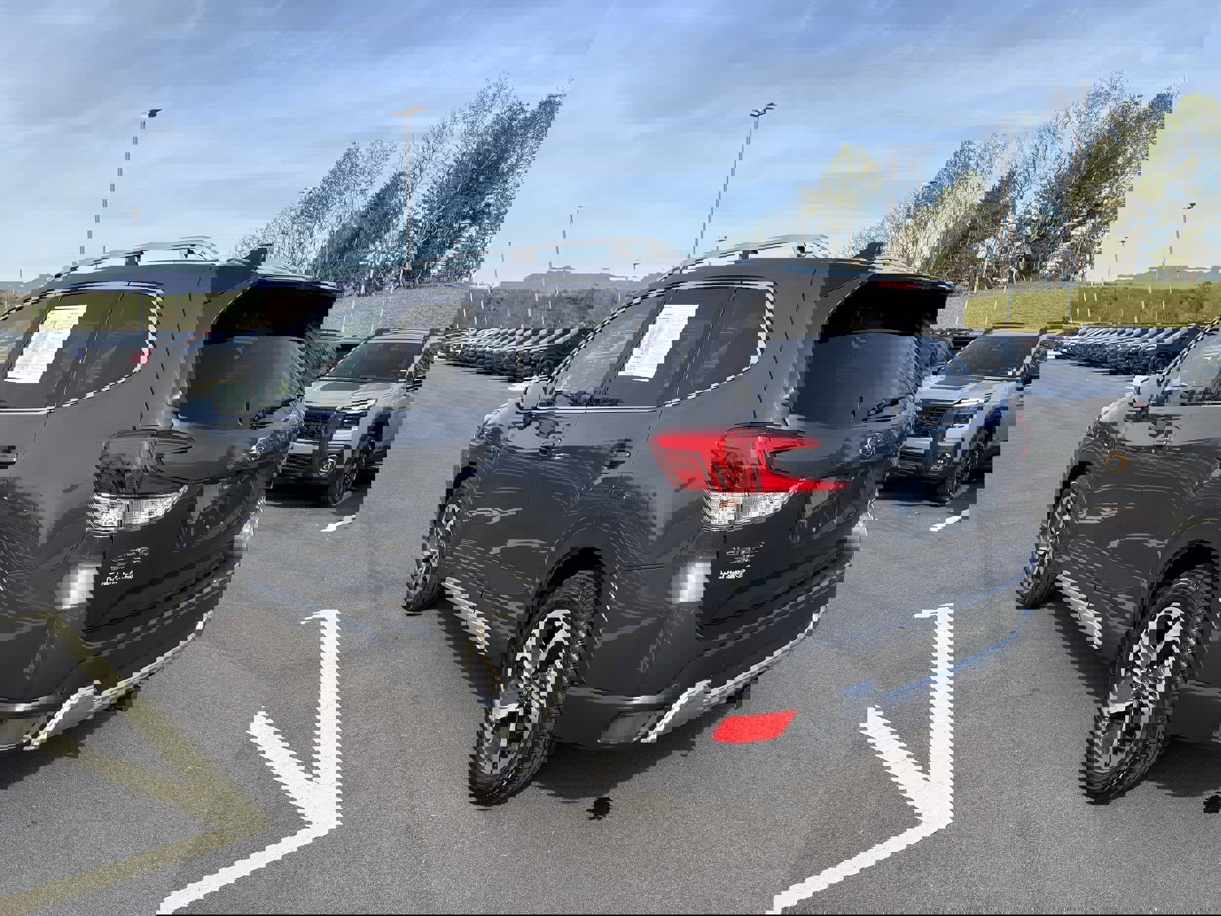 Certified 2024 Subaru Forester Touring image 6