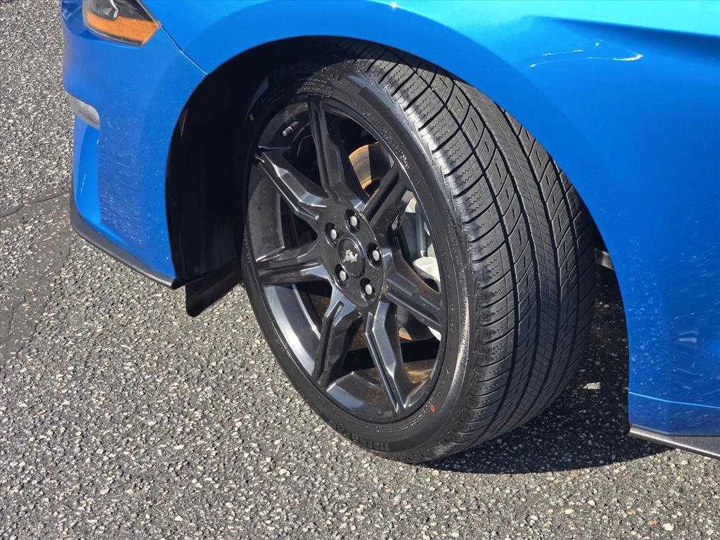 Used 2019 Ford Mustang EcoBoost w/ Equipment Group 101A image 26