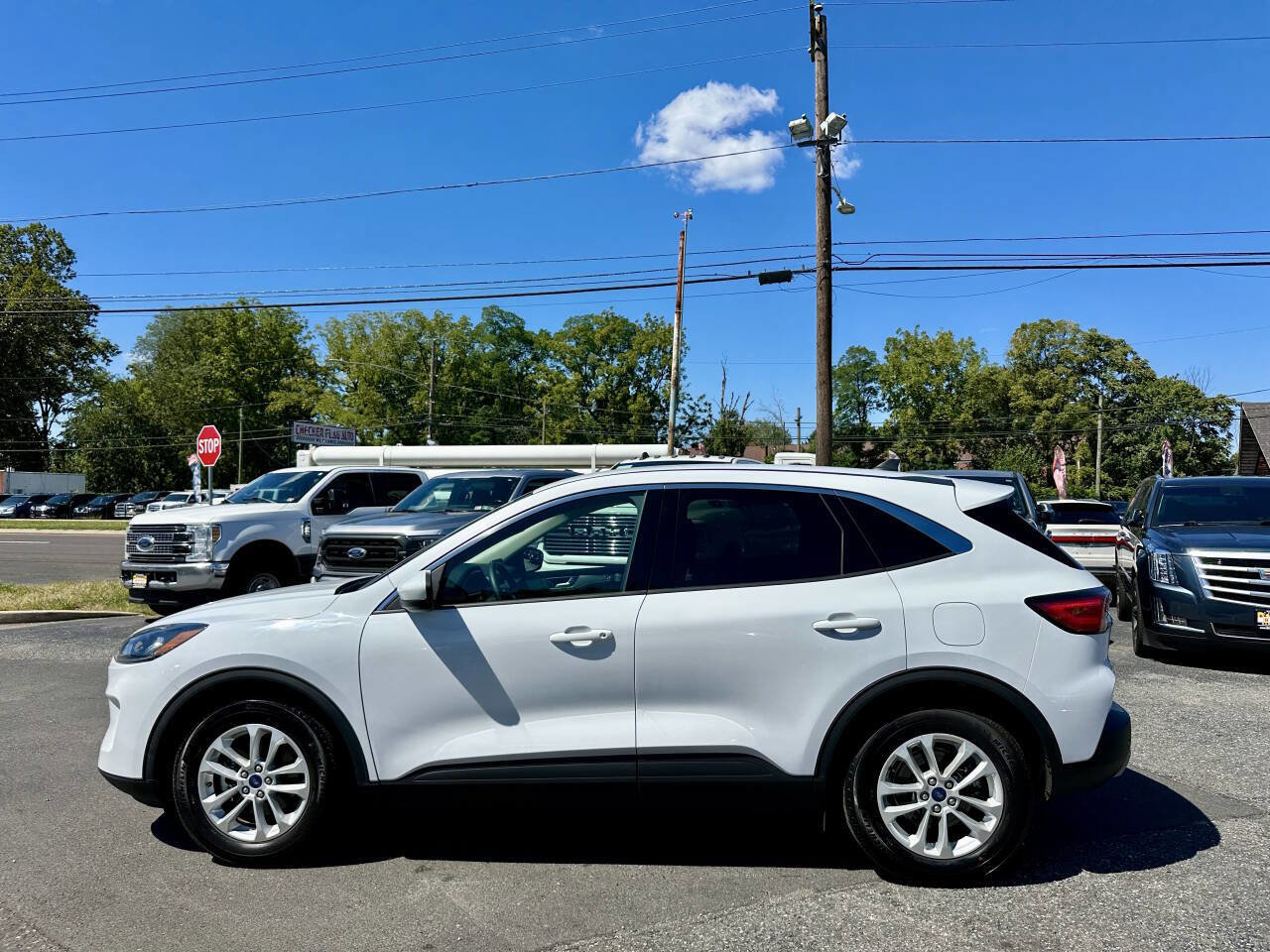 Used 2020 Ford Escape SE image 2