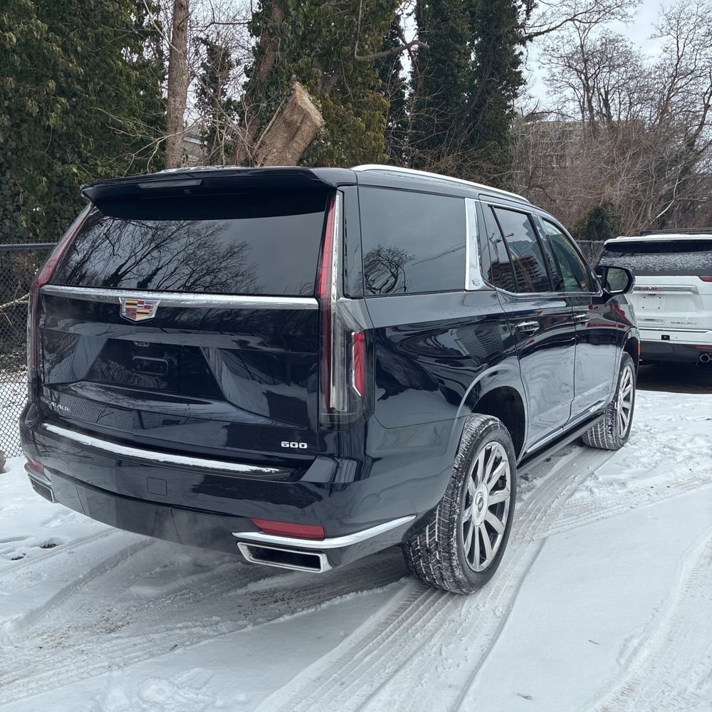 Used 2024 Cadillac Escalade Premium Luxury Platinum image 7