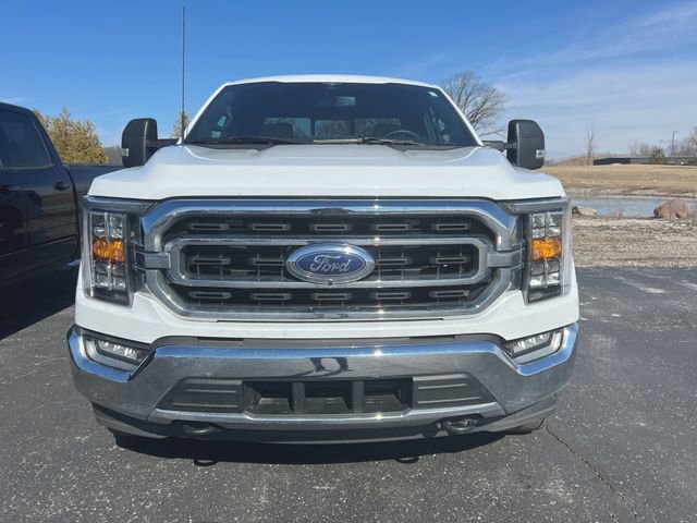 Used 2023 Ford F150 XLT w/ Equipment Group 302A High image 2