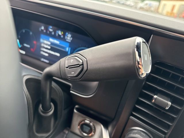 New 2025 Ford F250 Platinum w/ FX4 Off-Road Package image 19