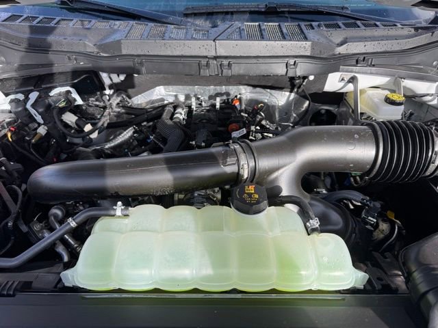 New 2026 Ford F150 XL w/ Equipment Group 103A High image 23