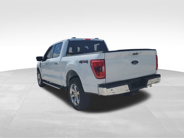 Used 2023 Ford F150 XLT w/ Equipment Group 302A High AWD/4WD image 6