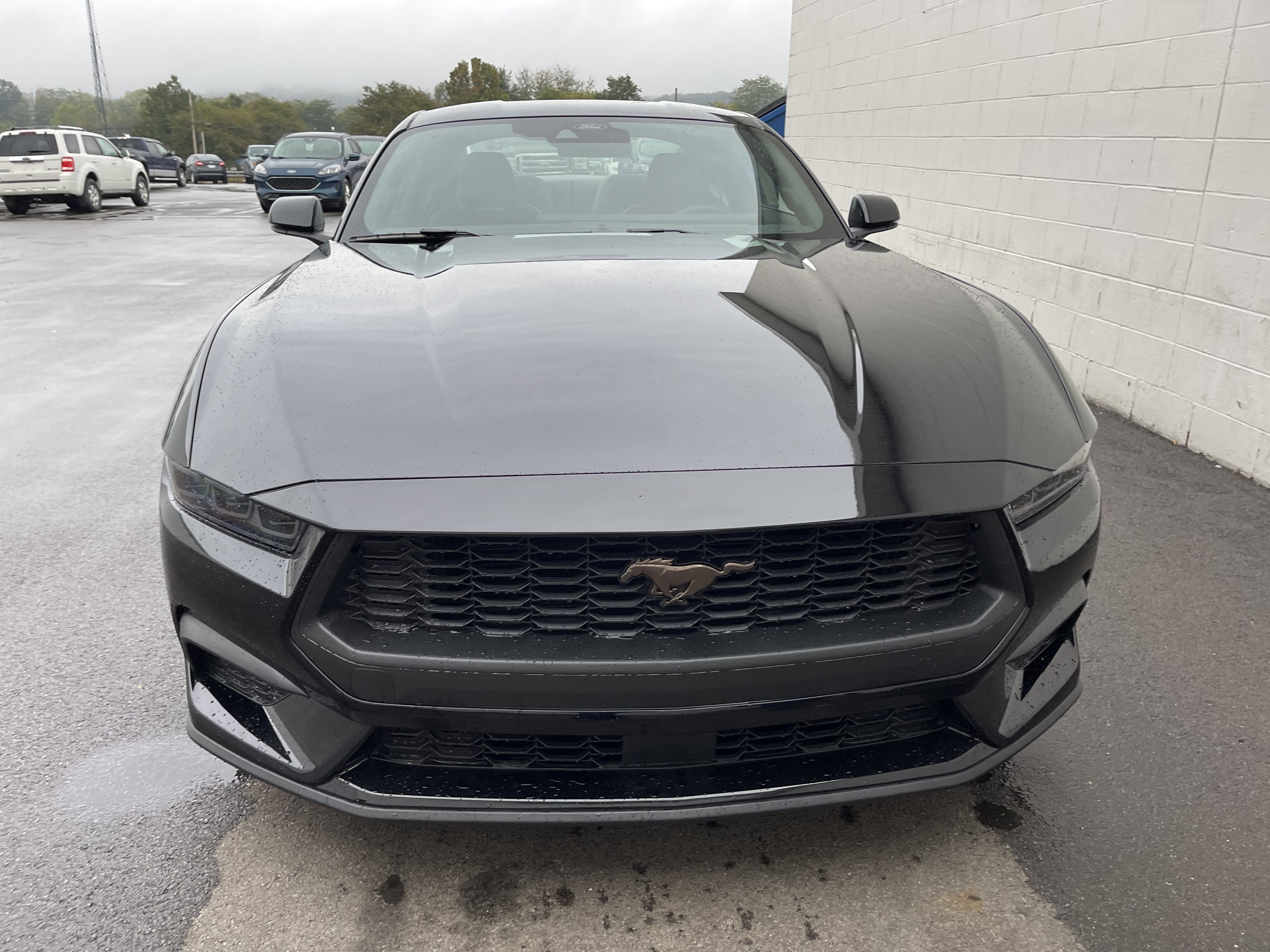 New 2025 Ford Mustang Premium image 3