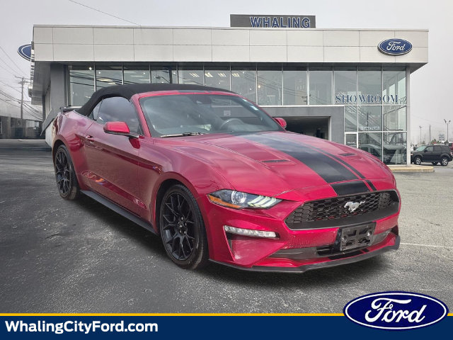 Used 2019 Ford Mustang Premium w/ Ecoboost Performance Package RWD image 1
