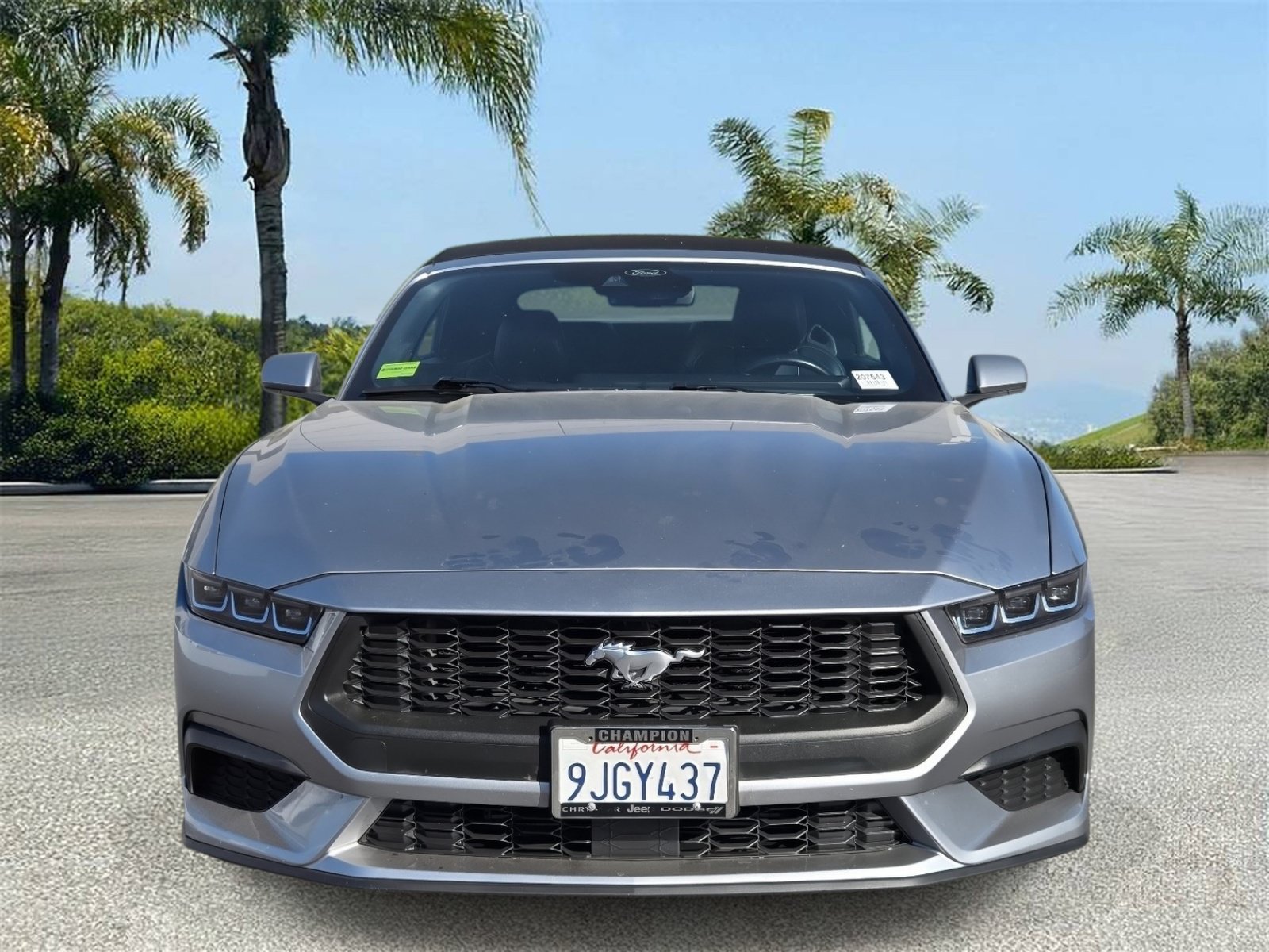 Used 2024 Ford Mustang Premium RWD image 3