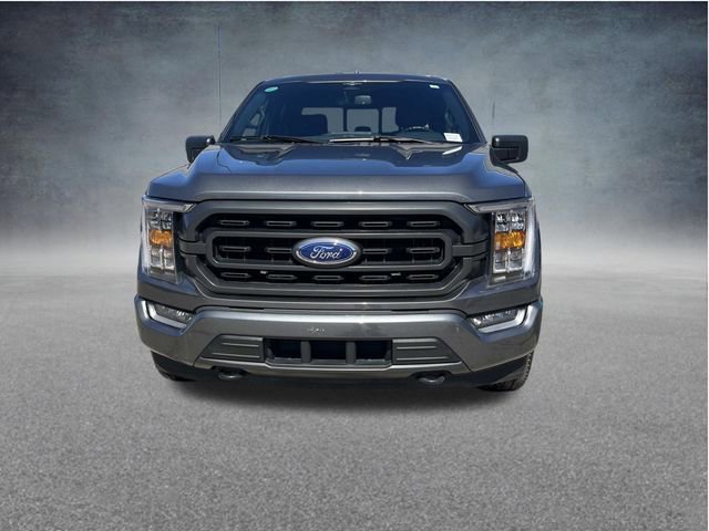 Used 2023 Ford F150 XLT w/ Equipment Group 302A High AWD/4WD image 9