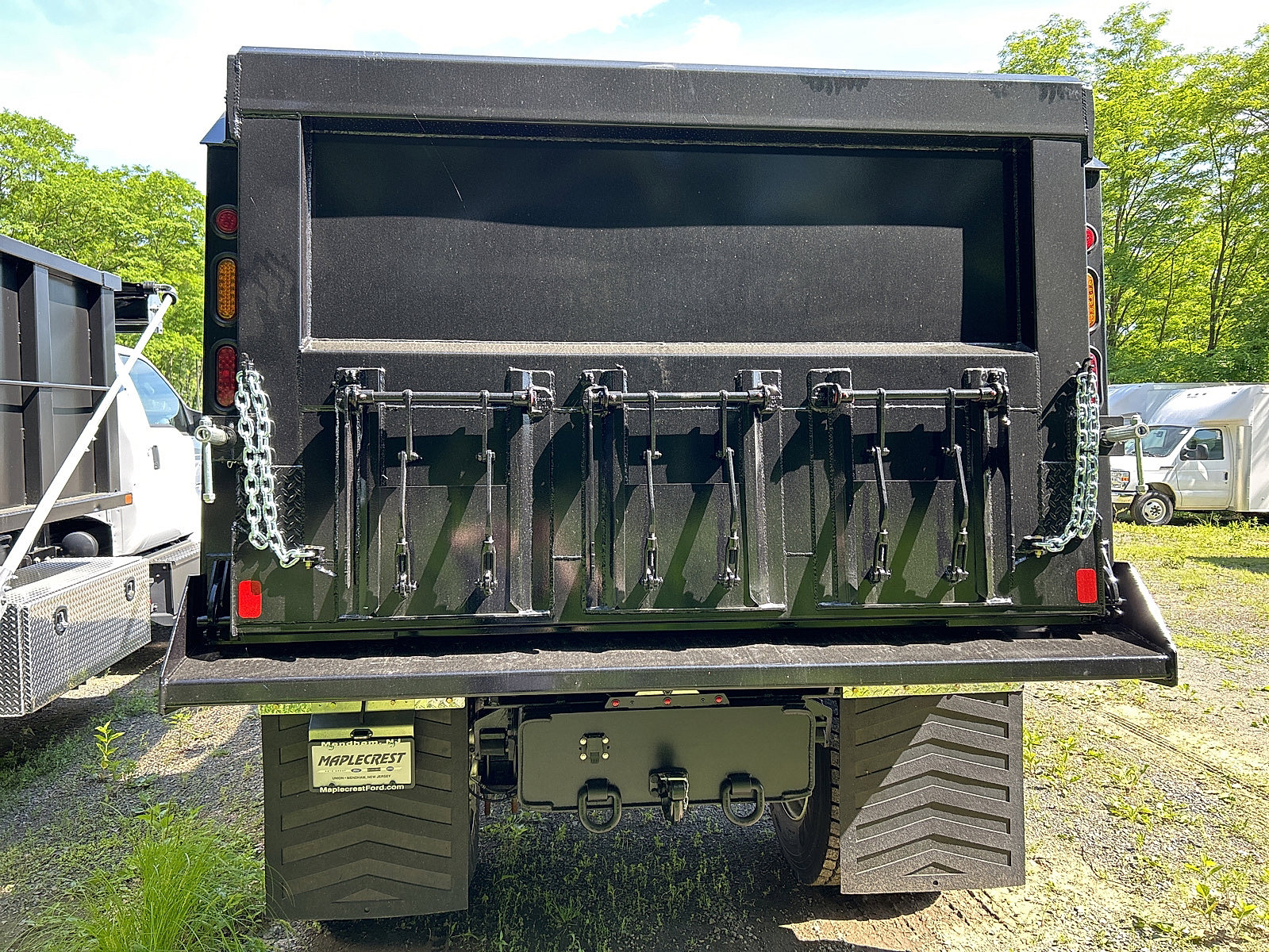 New 2025 Ford F650 2WD Regular Cab Super Duty image 5