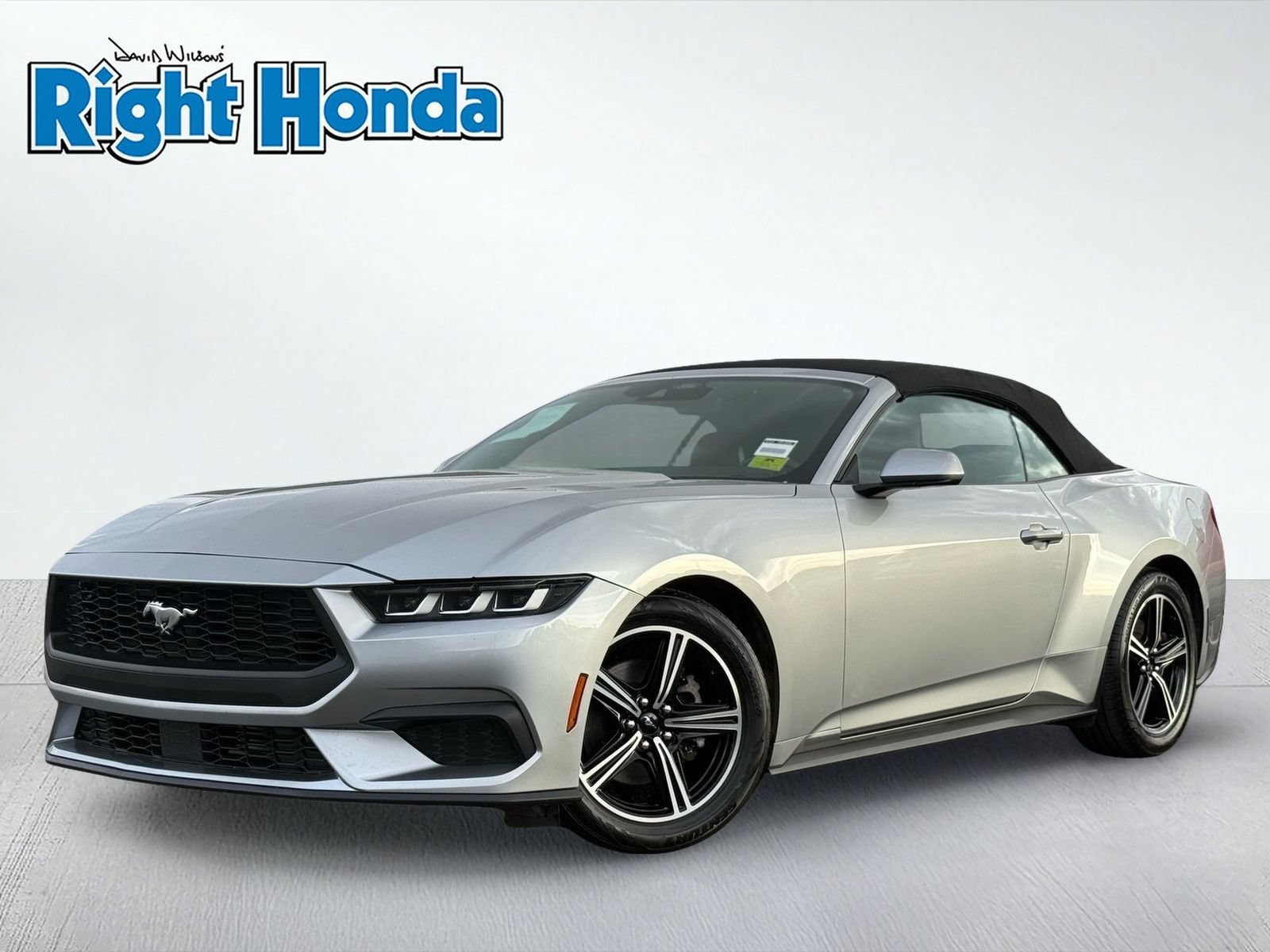 Used 2024 Ford Mustang Premium RWD image 2