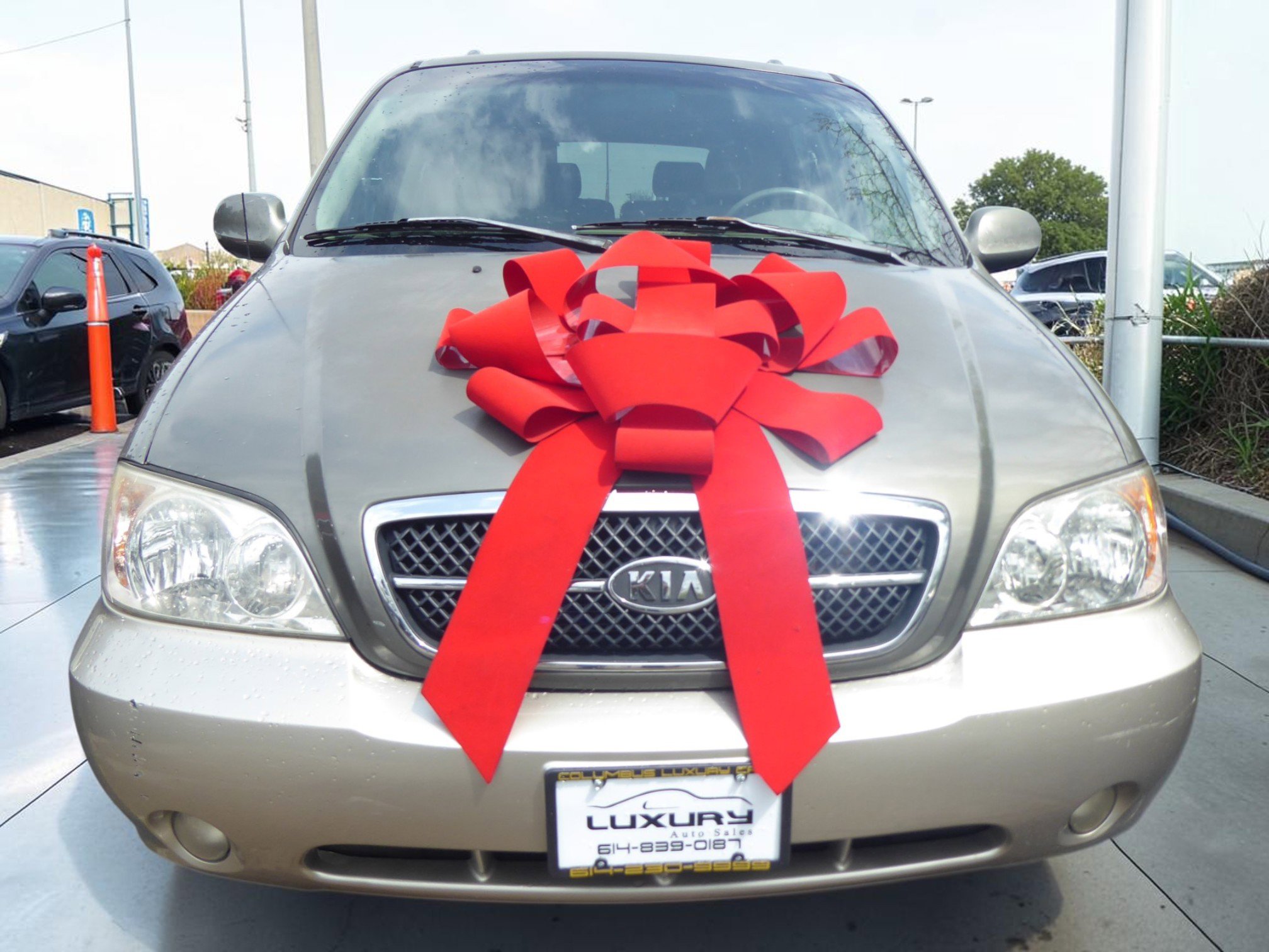 Used 2004 Kia Sedona LX image 5