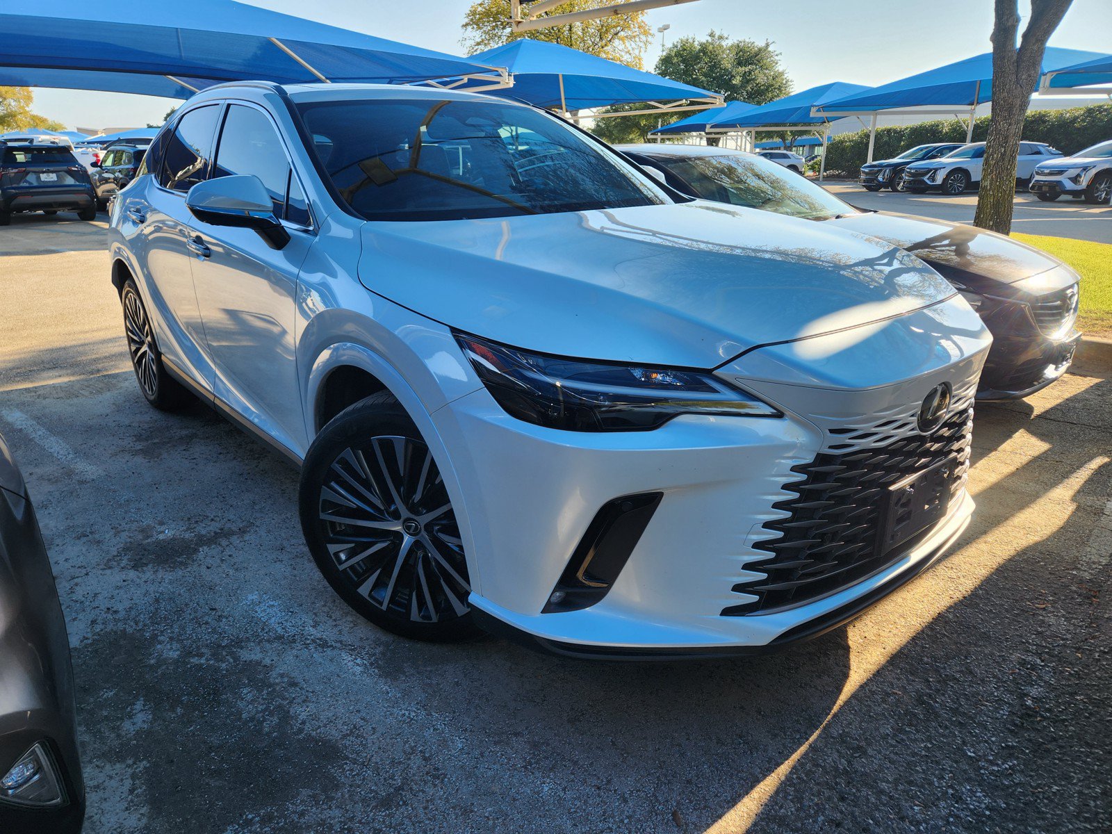Used 2025 Lexus RX 350 Premium Plus