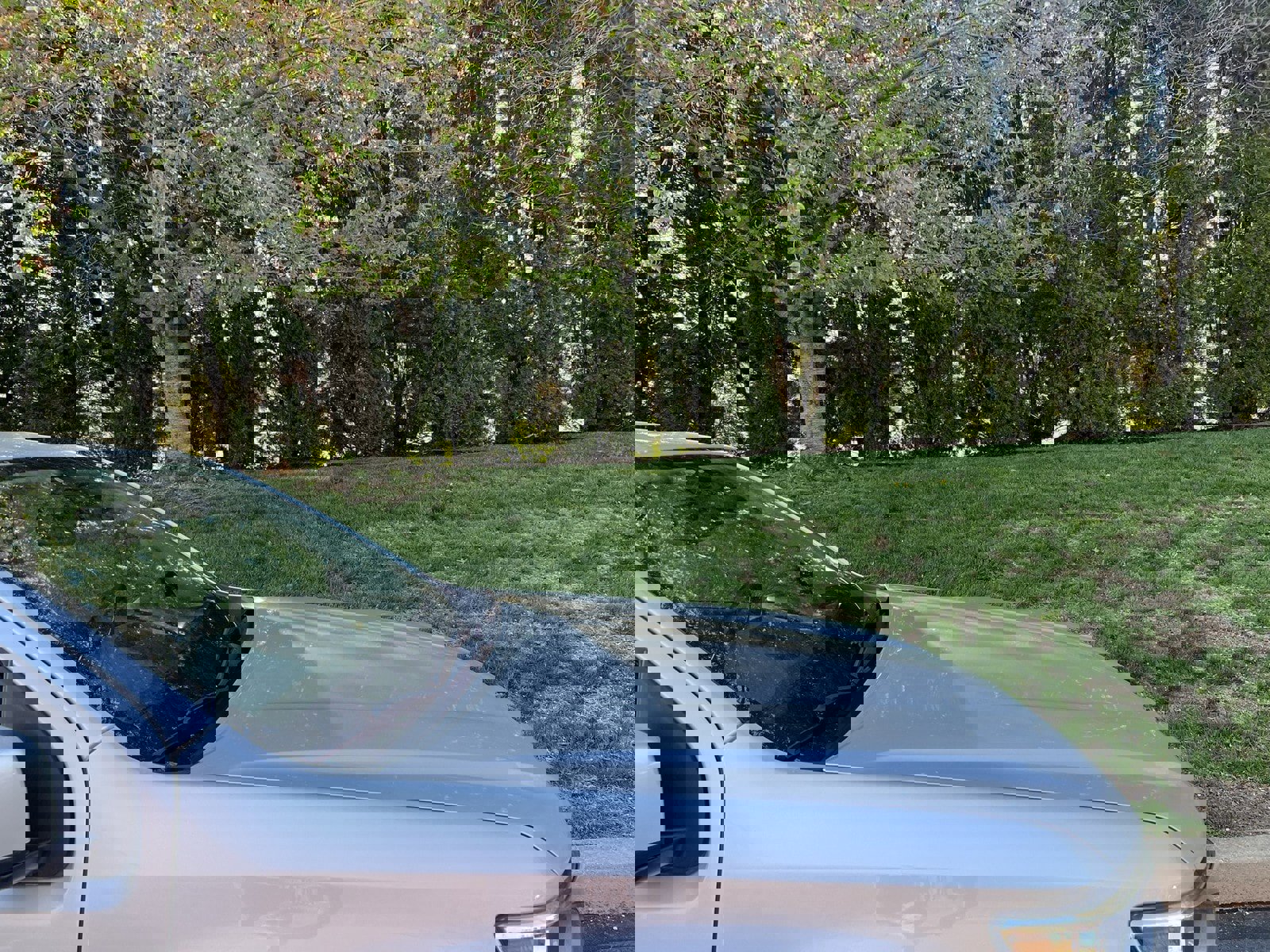 Used 2019 Chevrolet Colorado Z71 image 71