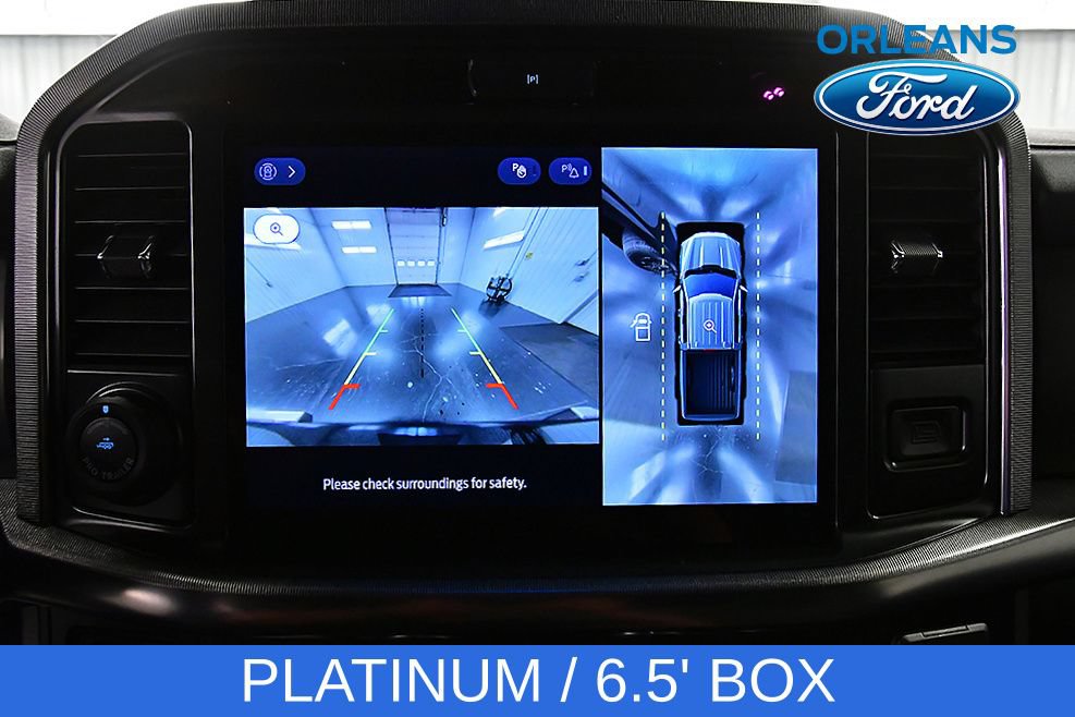 Used 2025 Ford F150 Platinum AWD/4WD image 28