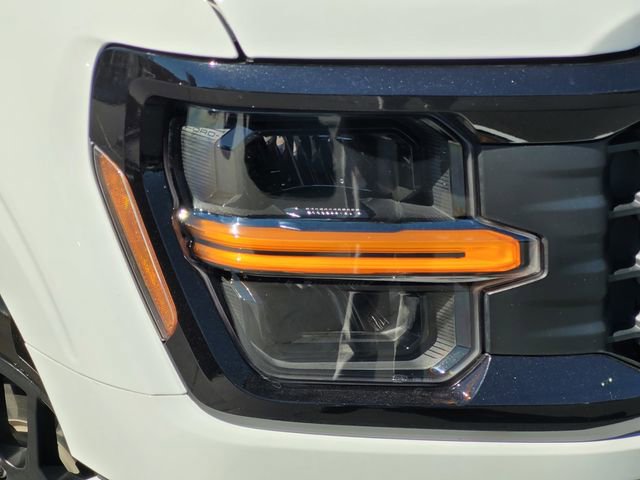 New 2025 Ford F150 STX w/ STX Black Appearance Package image 10