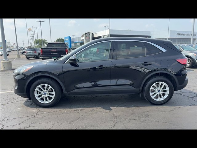Used 2020 Ford Escape SE AWD/4WD image 5